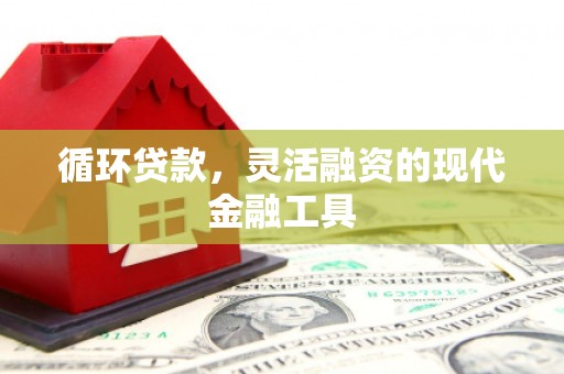 兴山循环贷款，灵活融资的现代金融工具