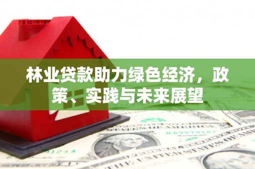兴山林业贷款助力绿色经济，政策、实践与未来展望