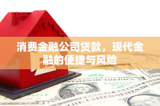 兴山消费金融公司贷款，现代金融的便捷与风险