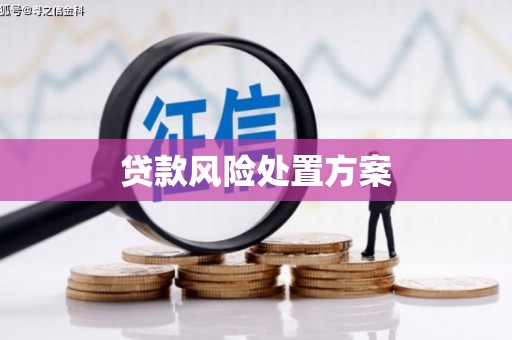 兴山贷款风险处置方案