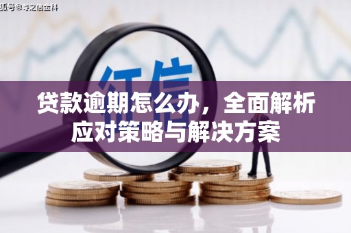 兴山贷款逾期怎么办，全面解析应对策略与解决方案