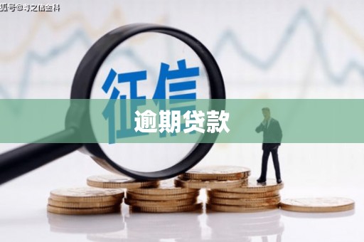 兴山逾期贷款