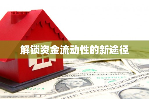 兴山解锁资金流动性的新途径