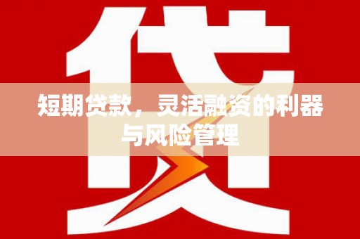 兴山短期贷款，灵活融资的利器与风险管理