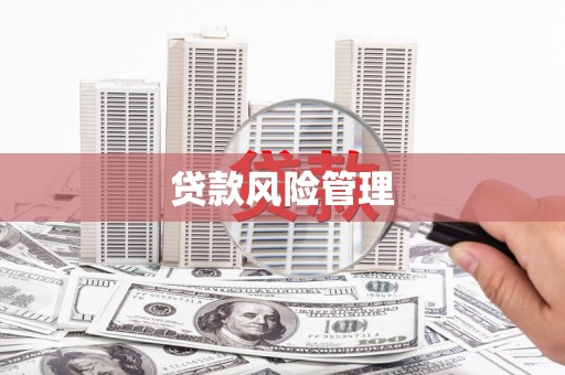 兴山贷款风险管理
